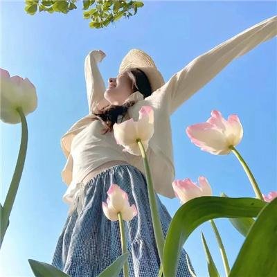 星光大盗 在线观看